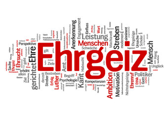 Ehrgeiz (ehrgeizig, Karriere)