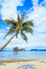 Coconut tree and beach at Ngai Island, an island in the Andaman