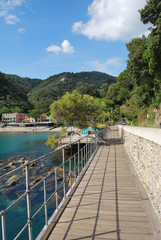 Fototapeta na wymiar la strada per Portofino