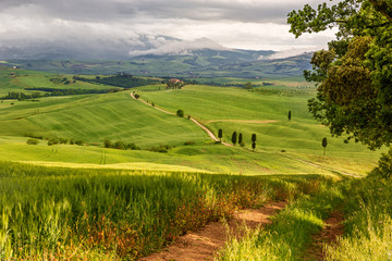 Tuscany hilly landscape near Pienza, Italy