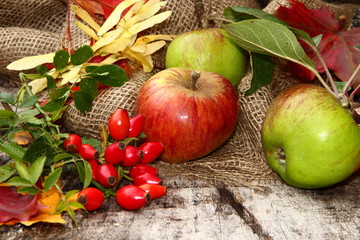 Herbstmotiv, Äpfel, Hagebutten, Herbstlaub