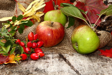 Herbstdekoration, Äpfel, Hagebutten, Herbstlaub