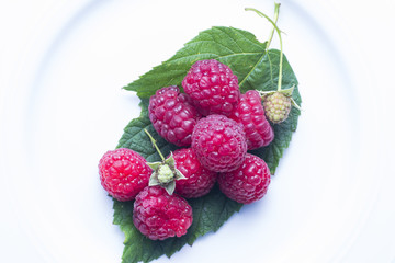 Himbeeren Teller mit Blatt