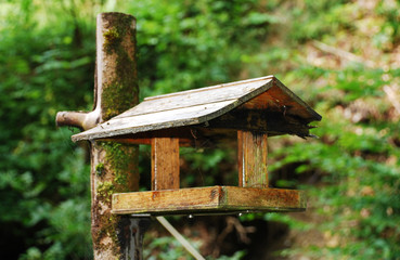 Wooden Bird Table