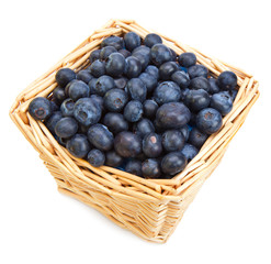 The basket full of a ripe blueberry