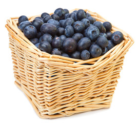 The basket full of a ripe blueberry