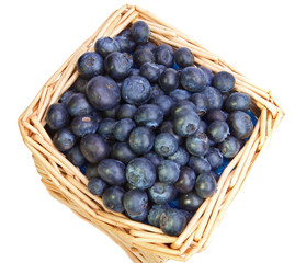 The basket full of a ripe blueberry