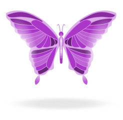 a colorful and bright butterfly in flight