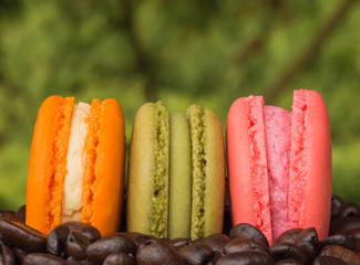Colorful  macaroon on coffee beans