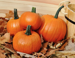 Pumpkin decoration