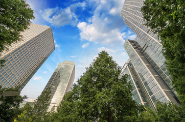 London, Canary Wharf. Beautiful view of Skyscrapers and trees fr