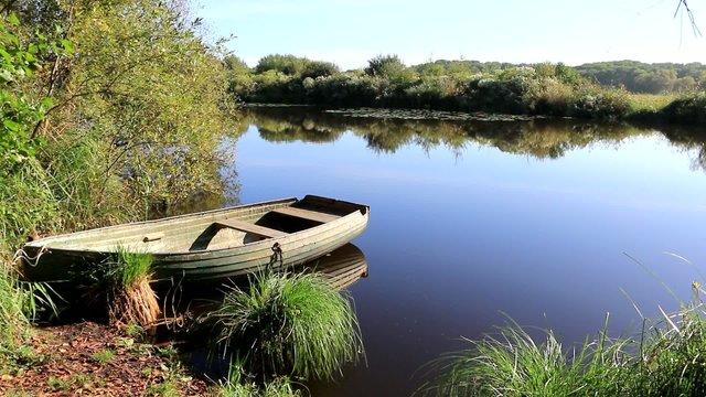 Calme nature au bord d'un &eacute;tang