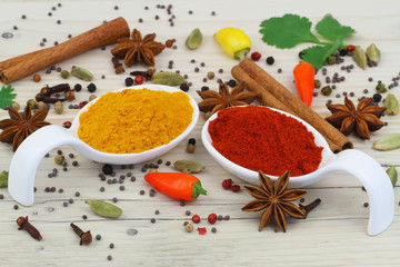 Colorful selection of Indian spices