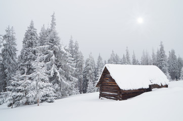 Hut in the Woods