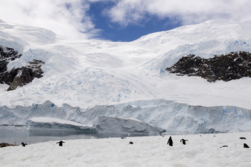 Fototapeta na wymiar Antarctica