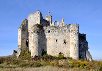 Fototapeta na wymiar Ruins of Mirow Castle, Poland