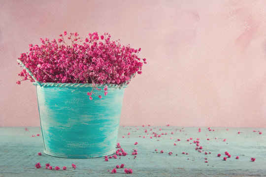Fototapeta Pink baby's breath flowers on wooden background