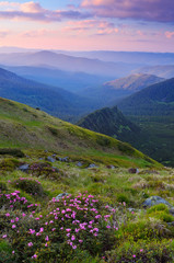 Evening landscape in the mountains