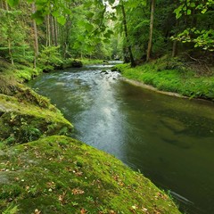 View over mossy boulder on to level of river, colorful leaves