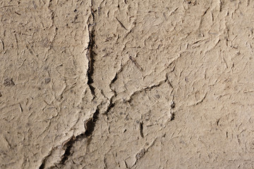 background from old dirty cardboard