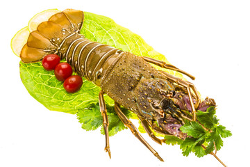 Raw spiny lobsters