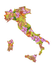 Italia Autunno Colori Foglie