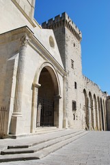 Fototapeta na wymiar Pałac i kościół papieży w Awinionie Notre Dame, Prowansja, Francja