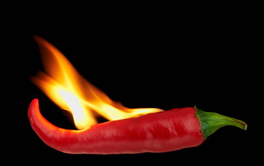 Flaming red hot chili pepper