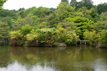 Fototapeta na wymiar Pond in Japanese garden