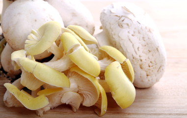 Cornucopia e funghi prataioli