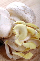 Cornucopia e funghi prataioli