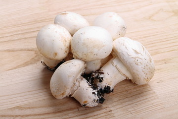 Funghi prataioli