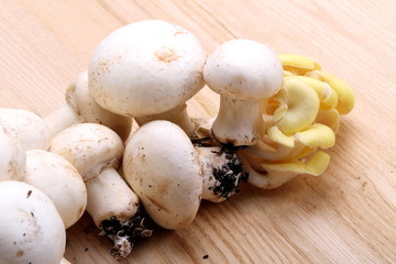 Funghi prataioli e cornucopia