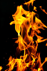 Fototapeta premium Fire flames on a black background