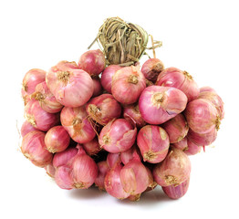 Shallot onions in a group isolated over white background.