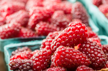 Fresh Tayberries on display at the market