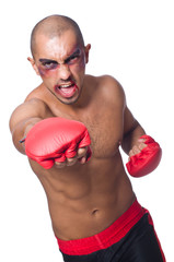 Badly beaten boxer isolated on white