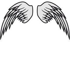 Angel Wings Design
