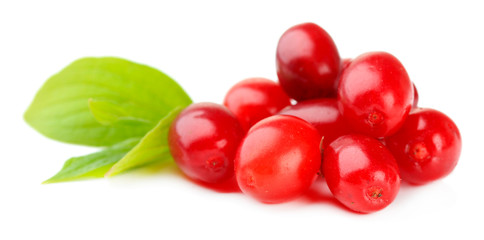 Fresh cornel berries isolated on white