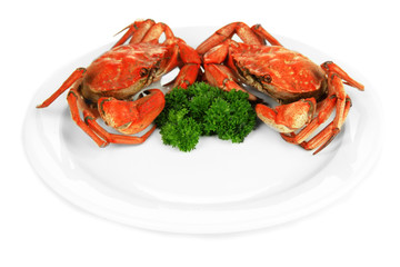 Boiled crab on white plate, isolated on white