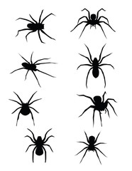 SPIDERS!!!! vector or jpeg