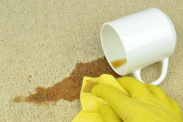 A hand in rubber glove cleaning a coffee stain on a carpet