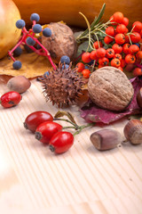 Autumn fruits, various fruits and vegetables
