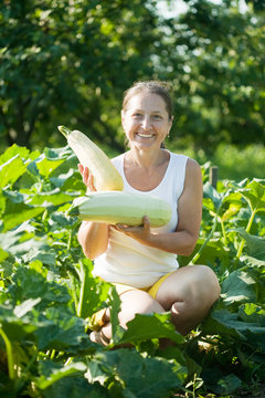  woman picking vegetable marrow