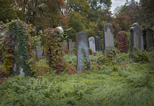 Old Jewish Cemetery