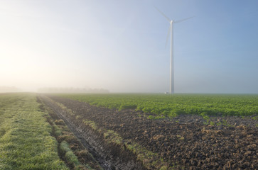 Fototapeta na wymiar Wind turbine in a hazy sunlit field at fall