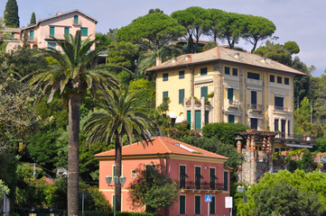 Fototapeta na wymiar w drodze do Portofino, Liguria, Włochy