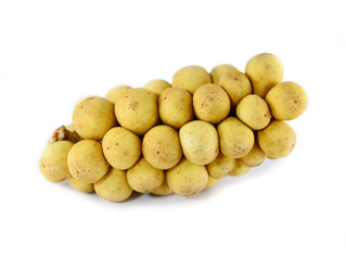 Wollongong on white background