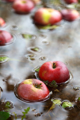 Fallen from the tree apples in the water with autumn leaves, sel