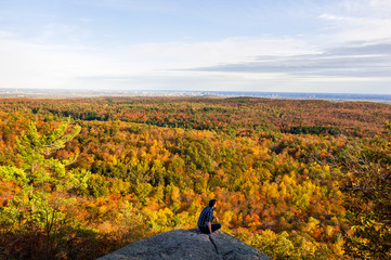 Aperson looks at the forest in autumn in canada